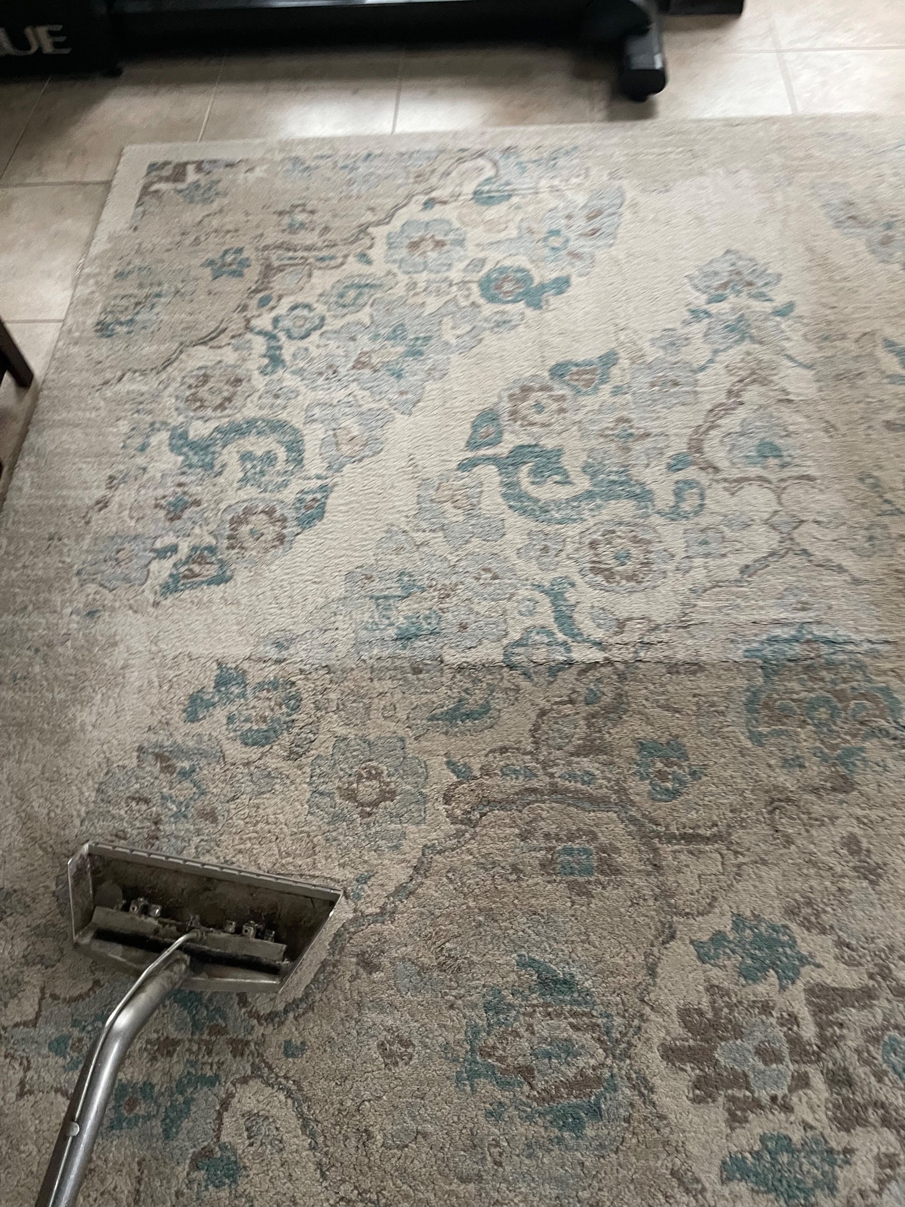 A rug halfway through a clean by Sennings Cleaning Services, Inc. Springfield
